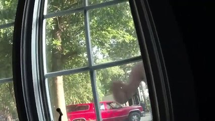 A Haunting - S05E01 - Blood Visions