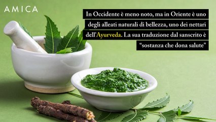 Olio di Neem, proprietà e benefici del nettare ayurvedico