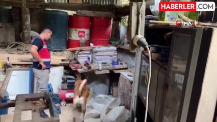 Artvin'de uyuşturucu ticareti yapan baba ve oğul tutuklandı