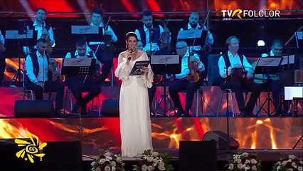 Alexandru Costin Cioiu - Festivalul de la Mamaia - TVR Folclor - 28.08.2024
