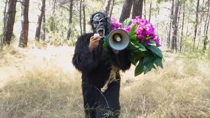 Goril kostümü giyip maymun çiçeği uyarısı yaptı