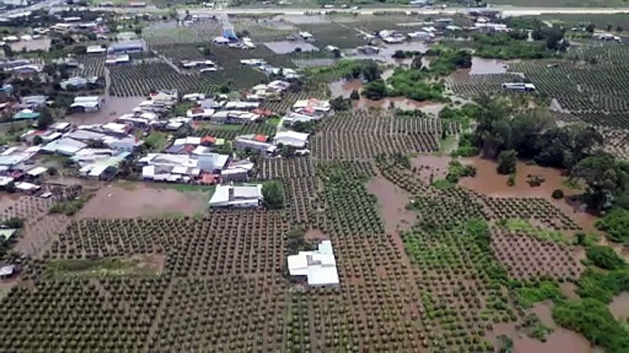 Floods submerge Vietnam's dragon fruit farms