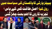 What is the role of PPP in Pakistan's politics? - Arguments Between Experts