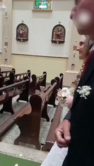 Vira-lata caramelo invade casamento e rouba a cena ao deitar no véu da noiva