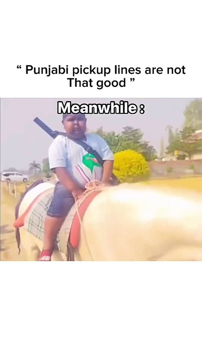 Punjabi pickup aren't that good ?
