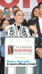 Morena, a sólo un escaño de mayoría calificada en Senado