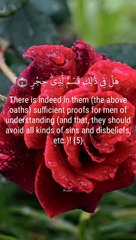 surah alfajar#alquran#islamic video#islam