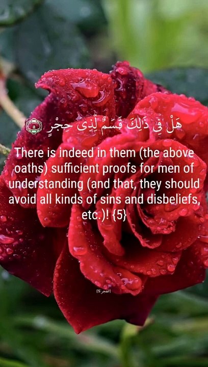 surah alfajar#alquran#islamic video#islam