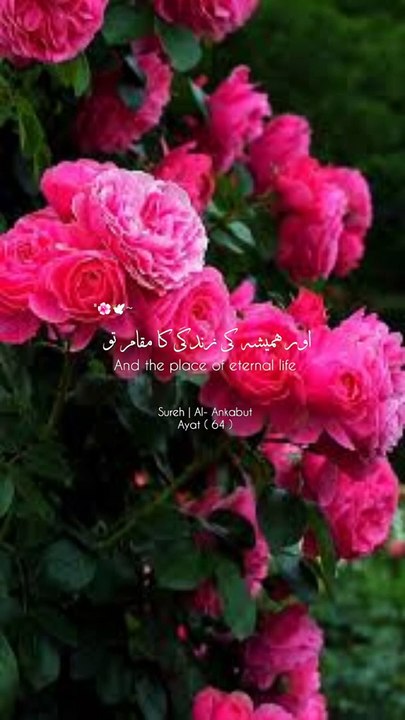 surah ankabout ayat64 urdu translation #alquran#islamic video#islam