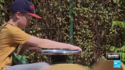 Miles de niños ucranianos refugiados inician clases en Polonia