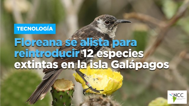 Floreana se alista para reintroducir 12 especies extintas en la isla Galápagos