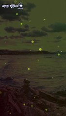 "আল্লাহর পথে চললে কখনোই পথ হারাবেন না"