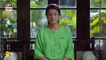 Noor Jahan Episode 27 _24 August 2024 _ ARY Digital