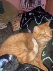 74665690535__B36AF117-F275-4E9E-9A76-2C9B53EEC1E1