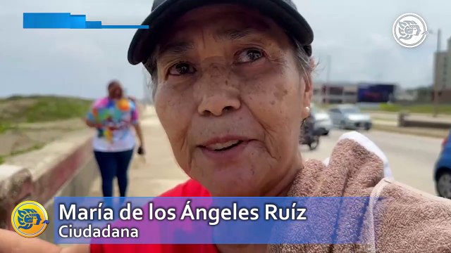 Grupo de delfines da hermoso espectáculo en el Malecón de Coatzacoalcos