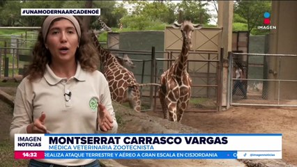 El Zoológico Guadalajara es hogar de especies emblemáticas y en peligro de extinción