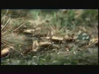 PUB Gaz de France pub 2008