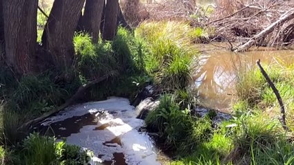 Regis to look for alternative dam site to secure future for McPhillamy’s gold mine project near Blayney