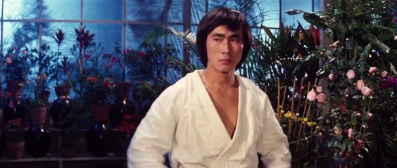 Tử Vong Du Hý - Game Of Death (1978) - VS