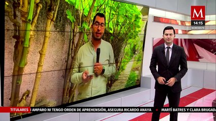 Télécharger la video: En Chiapas, localizan con vida a maestros reportados como desaparecidos