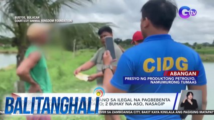 Lalaking sangkot umano sa ilegal na pagbebenta ng dog meat, arestado; 2 buhay na aso, nasagip | Balitanghali