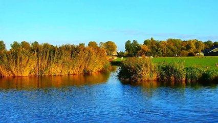 Âm nhạc thư giãn trị liệu với cảnh đẹp nhân gian - Hương sắc đồng nội chữa lành mọi cảm xúc