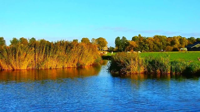 Âm nhạc thư giãn trị liệu với cảnh đẹp nhân gian - Hương sắc đồng nội chữa lành mọi cảm xúc