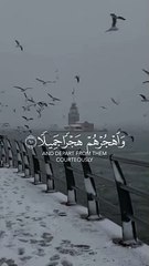 Heart Touching  Quran Status __ Quran Urdu translation WhatsApp status