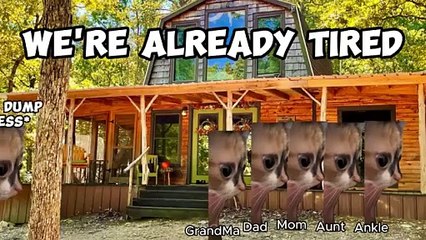jungle camping trip cat meme