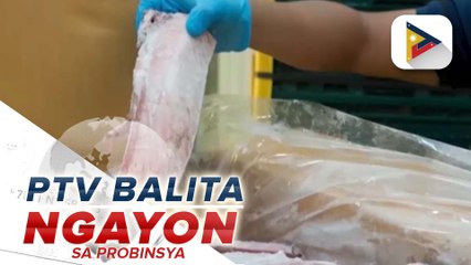 Davao CHO, muling hinikayat ang mga barangay sa pagbuo ng mosquito borne disease task force
