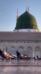 Naat | Heart Touching Naat Sharif 2024 |