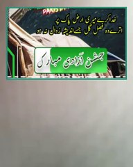 یہ سبز حلالی پرچم ہماری پہچان ہے اور وطن سے محبت ہمارے ایمان کا حصہ ہے 