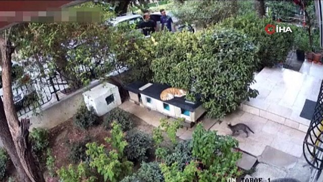 Vicdansızlıkta son nokta! Engelli vatandaşın akülü sandalyesini çaldılar