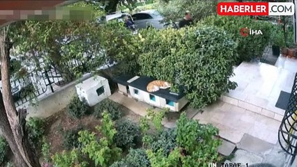 İzmir'de engelli vatandaşın akülü sandalyesini çalan vicdansızlar yakalandı