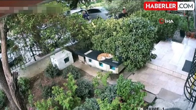 İzmir'de engelli vatandaşın akülü sandalyesini çalan vicdansızlar yakalandı