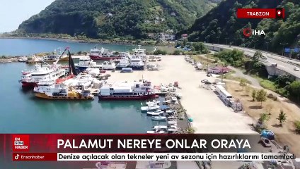 Trabzonlu balıkçılar bu sezon palamudun peşinde olacak