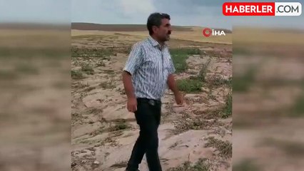 Ankara'da sel suları 200 dönümlük tarım alanını vurdu