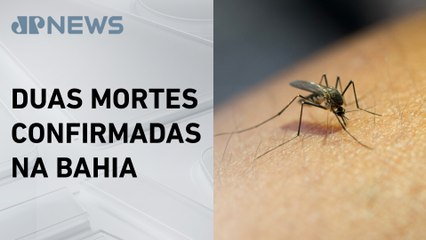 Brasil investiga morte por febre do Oropouche no Paraná