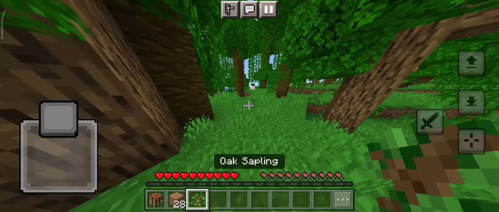 100 days survival challenge in Minecraft