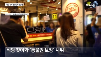 식당서 동물권 시위 유죄 확정…법원 “용인될 수 없는 수준”