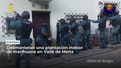 Desmantelan en Valle de Mena una plantación indoor de marihuana en un adosado