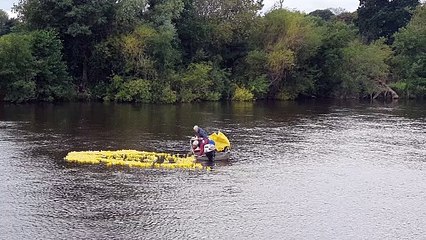 Ross on Wye duck race