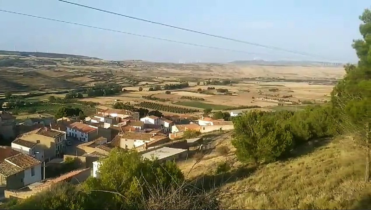 Toda la luz del mundo