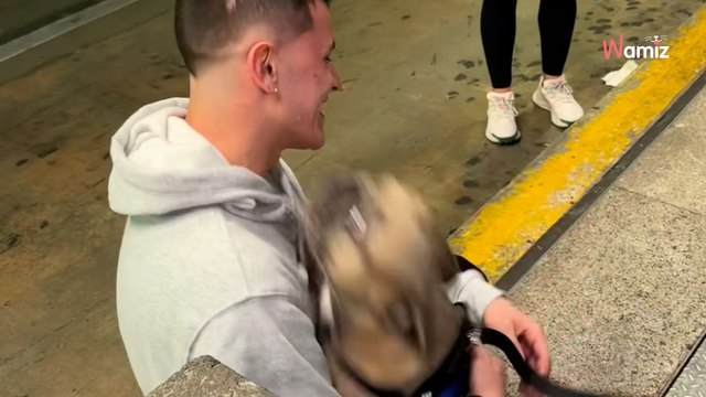 Il retrouve son chien pour la première fois depuis 7 mois : son sang se fige devant le regard qu'il lui lance (vidéo)