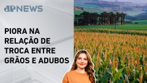 Kellen Severo: Negócios para safra de milho de inverno estão atrasados