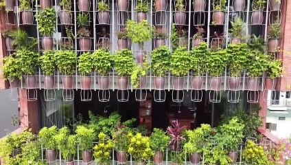Ngôi nhà có bức tường xếp từ 500 chậu cây cảnh