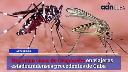 Las noticias más leídas en ADN Cuba hoy Agosto 30