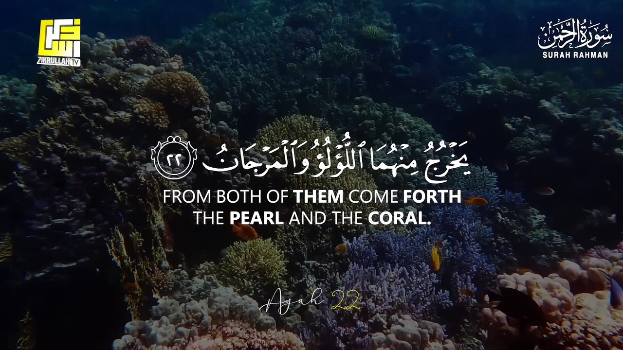 World's most beautiful recitation of Surah Ar-Rahman (سورة الرحمن)  | quran recitation