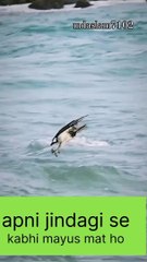 #kabhi mayus mat hona   ................#foryou #followerme