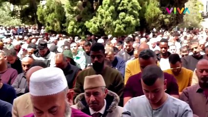 Heboh, Video Diduga Pohon Gharqad Lindungi Umat Yahudi